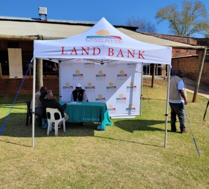 535378315_1426271295691569_7368230621350447428_n