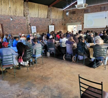 535420382_1426271182358247_1005602939395527099_n